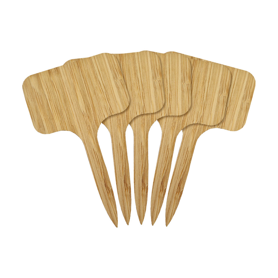 Étiquettes à piquer 60x100mm Bambou